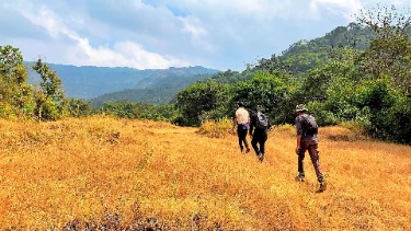 Biodiversity Documentation